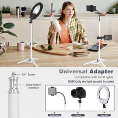 Light Stand for Cameras Studio 23"/60cm Portable Lighting Tripod Stand Aluminum Mini Photography Back Light Stands for Video Recording Videography Live Streaming - White