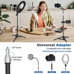 Light Stand for Cameras Studio 23"/60cm Portable Lighting Tripod Stand Aluminum Mini Photography Back Light Stands for Video Recording Videography Live Streaming - (Black)