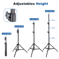 5.35Ft/160cm Light Stand,Portable Lighting Tripod Stand Photography Light Stand Lightweight Foldable Tripod Stand Compact for Video Recording Videography Live Streaming (LINCO C003-Black