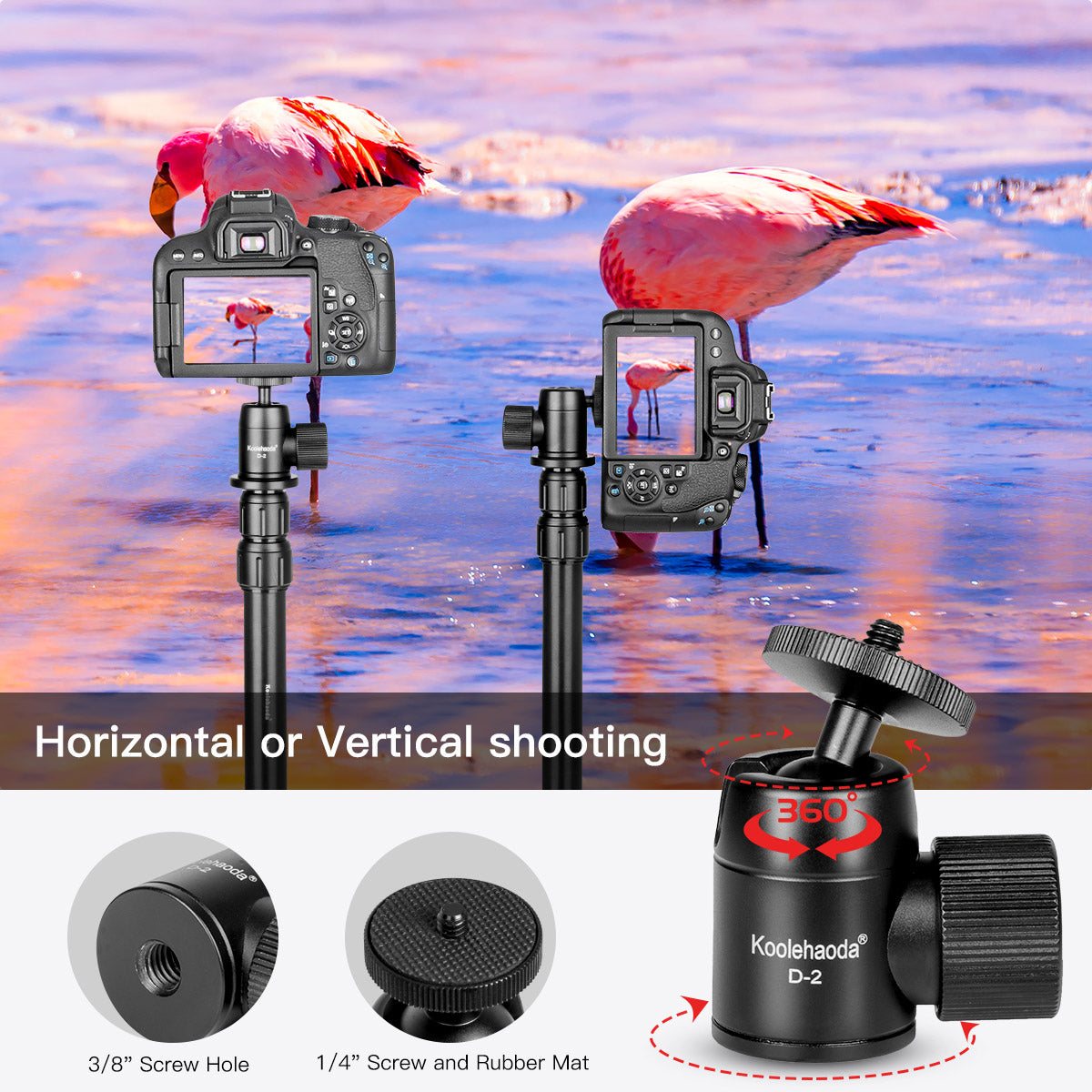 Tabletop Mini Tripod,Travel Portable Desktop Tripod with 360° Ball Head and Telescoping Extension Tube for DSLR Cameras,Gopro,Projector and Monopods