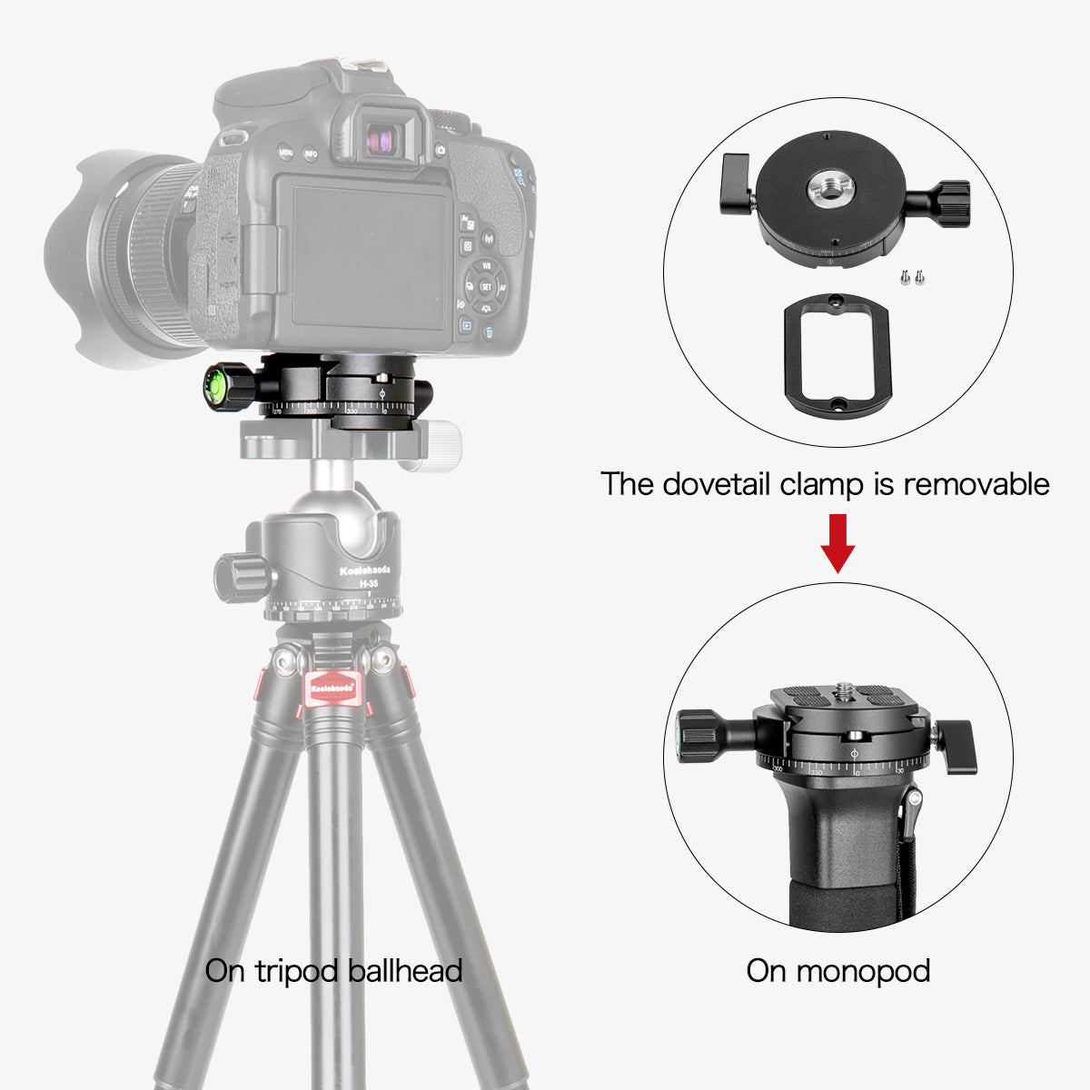 Professional Camera Tripod Panoramic Head Holder Universal Quick Release Plate Compatible with RRS/Arca-Swiss, Camera Tripod BallHead (XPC-60 )